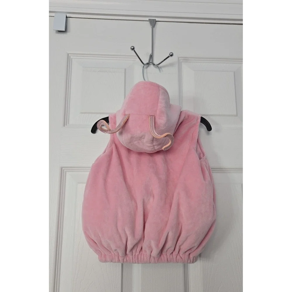 Dream Play Imagine Infant Girls‎ Butterfly Costume Size 6-9 Months